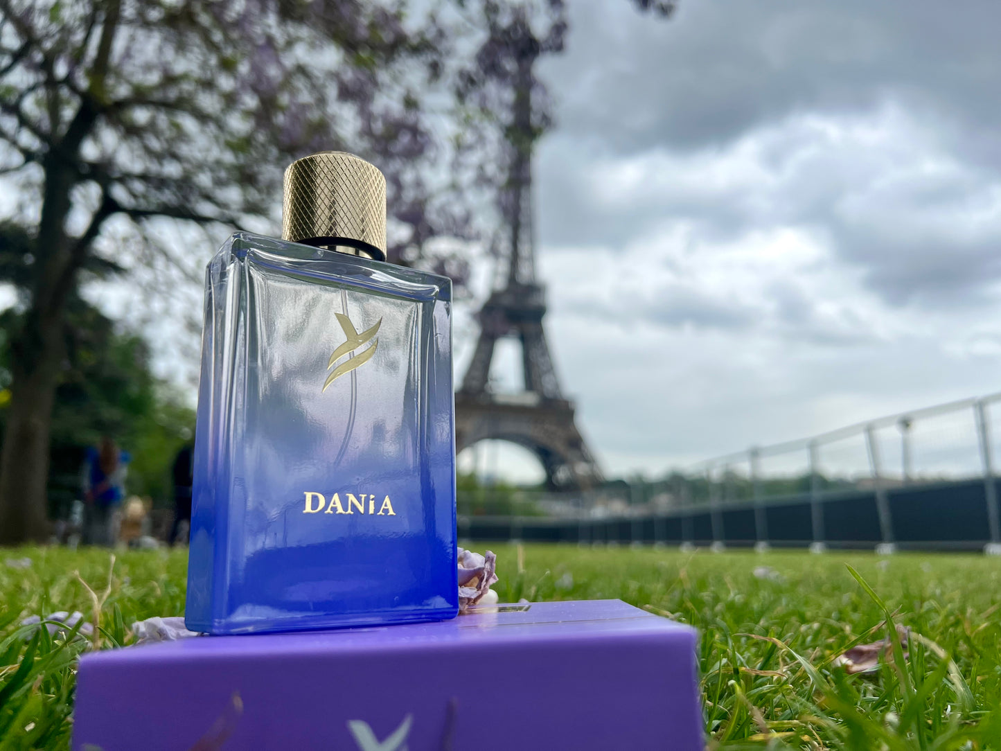 DANIA ᵂᴼᴹᴱᴺ